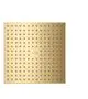 AXOR-HG-AXOR-ShowerSolutions-Kopfbrause-250-250-1jet-Decke-Brushed-Gold-Optic-35309250 gallery number 1